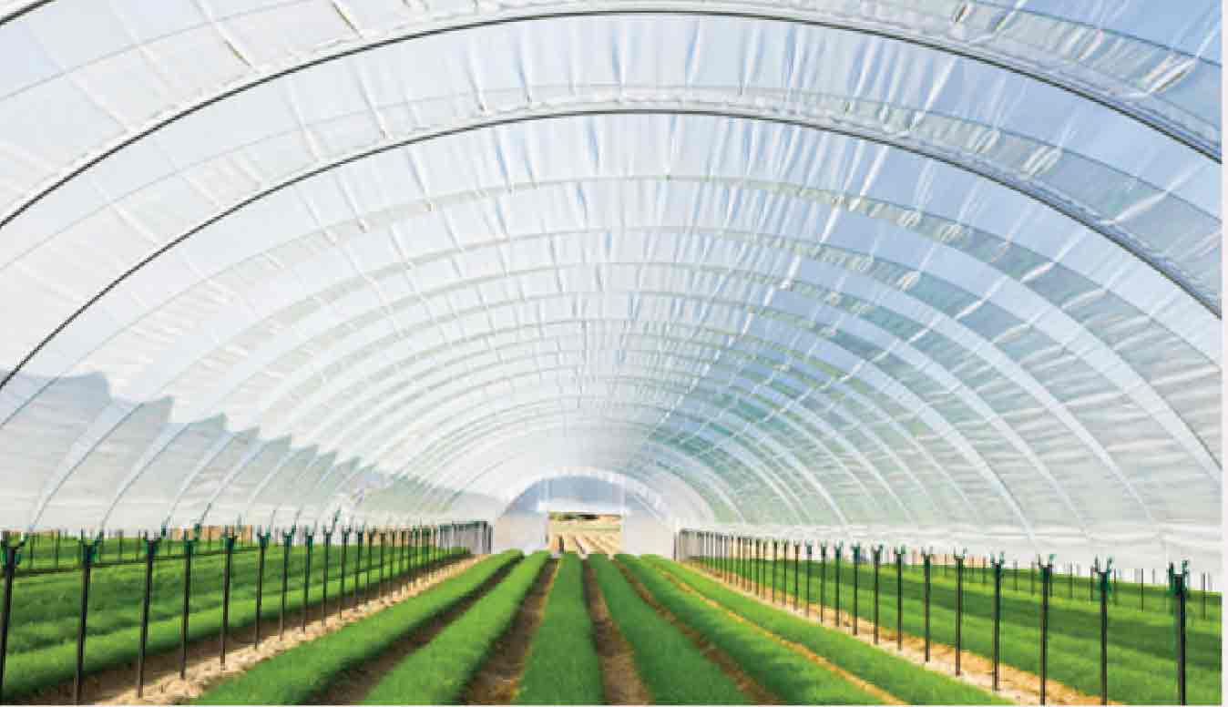Masterbatches For Agricultures